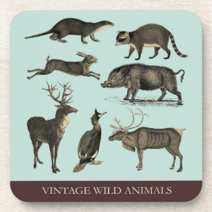 Dessous de verre en plastique vintage Wild Animaux