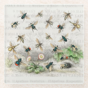 Dessous-de-verre En Verre Abeille Reine Entomologie Botanique Vintage