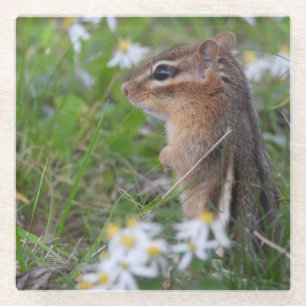 Dessous-de-verre En Verre Adorable Chipmunk en fleurs