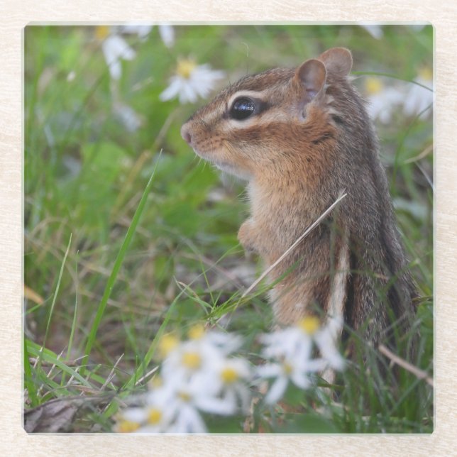 Dessous-de-verre En Verre Adorable Chipmunk en fleurs (Devant)