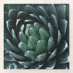 Dessous-de-verre En Verre Agave vert