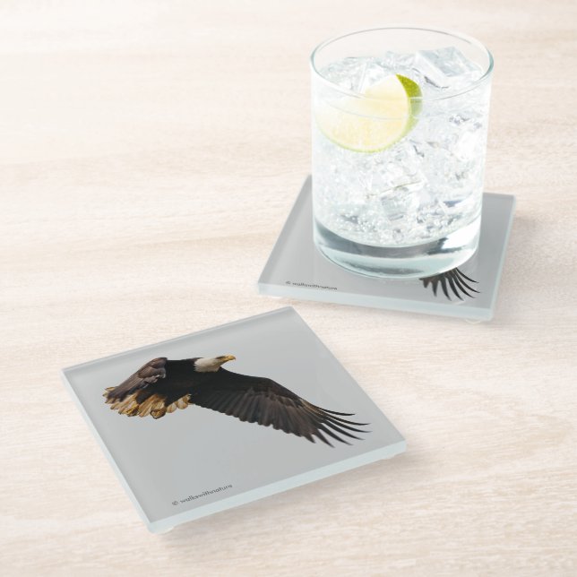 Dessous-de-verre En Verre Aigle à tête blanche, oiseau de proie en vol (Incliné)