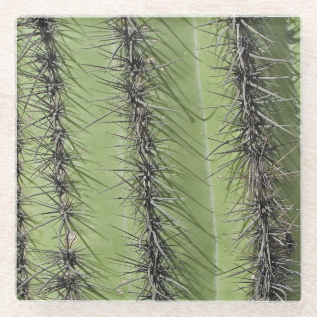 Dessous-de-verre En Verre Aiguilles de Cactus Saguaro Photo Nature du Sud-Ou (Devant)