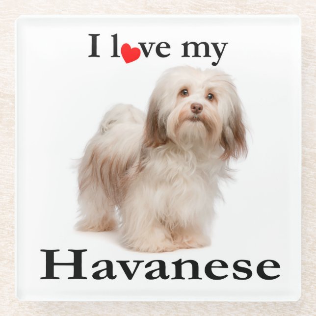 Dessous-de-verre En Verre Aimez mes dessous de verre en verre de Havanese (Devant)