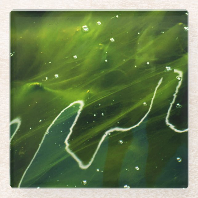 Dessous-de-verre En Verre Algues vertes et l'eau coastercnm (Devant)