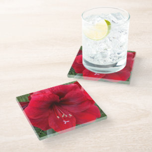 Dessous-de-verre En Verre Amaryllis de Noël rouge Floral en fleurs