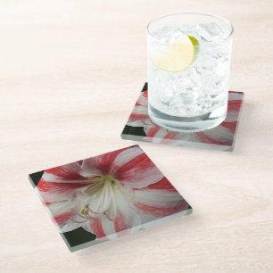 Dessous-de-verre En Verre Amaryllis floral rayé rouge et blanc