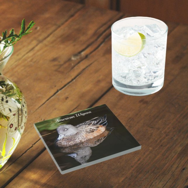 Dessous-de-verre En Verre American Widgeon Photo de la faune (In Situ Glass)