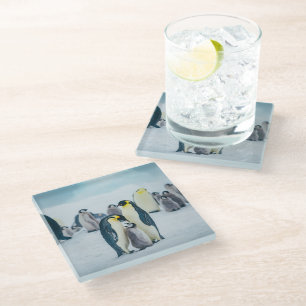 Dessous-de-verre En Verre Animaux de bébés cutest Alimentation de pingouin