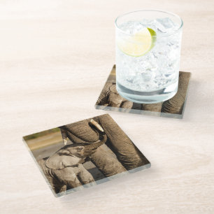 Dessous-de-verre En Verre Animaux de bébés cutest Baby Elephant & Mama