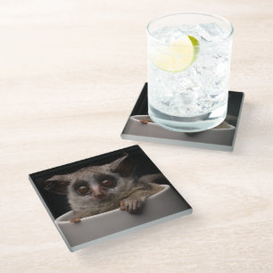 Dessous-de-verre En Verre Animaux de bébés cutest Bébé mignon