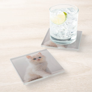 Dessous-de-verre En Verre Animaux de bébés cutest Blue Eye Kitten