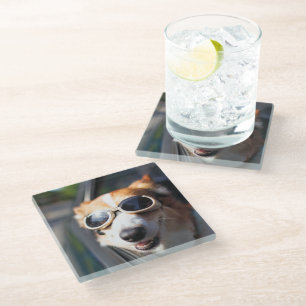 Dessous-de-verre En Verre Animaux de bébés cutest   Corgi lunettes dans la v