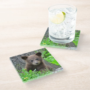Dessous-de-verre En Verre Animaux de bébés cutest Cube d'ours Brown