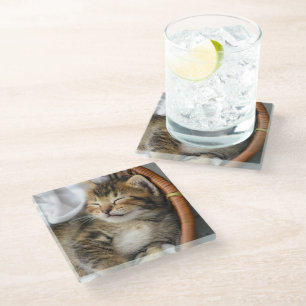 Dessous-de-verre En Verre Animaux de bébés cutest Cute Tabby Chat Dormir