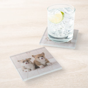 Dessous-de-verre En Verre Animaux de bébés cutest   Deux Bébés Corgis assis