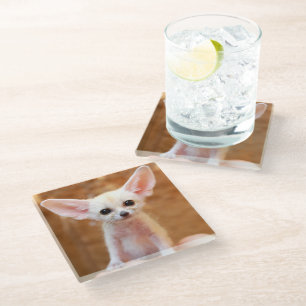 Dessous-de-verre En Verre Animaux de bébés cutest   Fennec Fox
