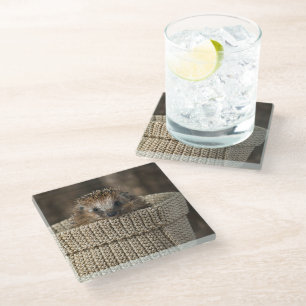 Dessous-de-verre En Verre Animaux de bébés cutest Hérisson dans un panier