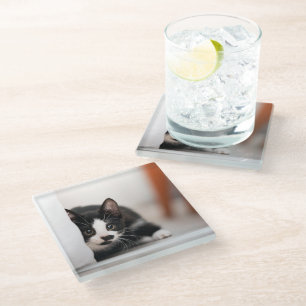 Dessous-de-verre En Verre Animaux de bébés cutest   Kitten noir et blanc