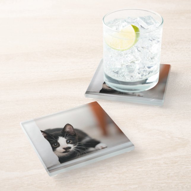 Dessous-de-verre En Verre Animaux de bébés cutest | Kitten noir et blanc (Incliné)