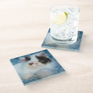 Dessous-de-verre En Verre Animaux de bébés cutest Kitten noir et blanc