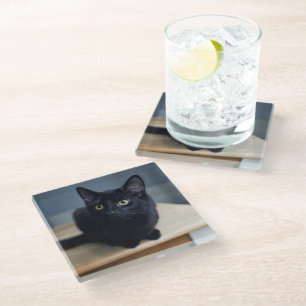 Dessous-de-verre En Verre Animaux de bébés cutest Portrait d'un chat noir