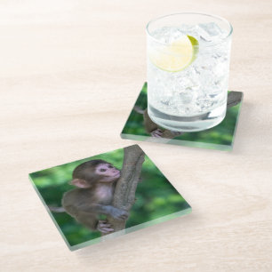 Dessous-de-verre En Verre Animaux de bébés cutest Singe bébé
