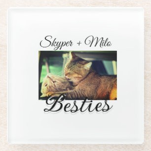 Dessous-de-verre En Verre Animaux de compagnie amis besties ajouter nom anim