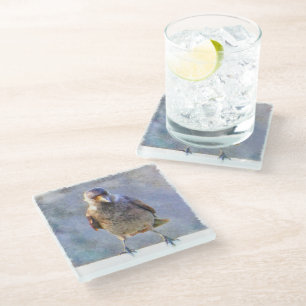 Dessous-de-verre En Verre Aquarelle Jackdaw