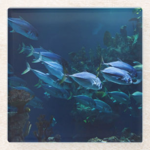 Dessous-de-verre En Verre Aquarium