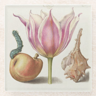 Dessous-de-verre En Verre Art de calligraphie de la Renaissance Tulipe rose