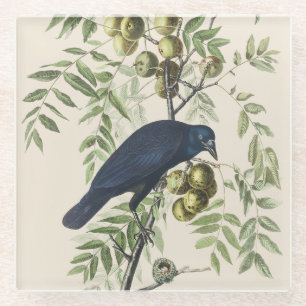 Dessous-de-verre En Verre Art de la nature de l'oiseau Corbeau américain d'A