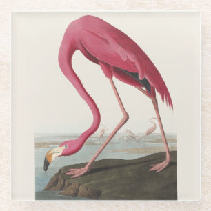 Dessous-de-verre En Verre Art Vintage Audubon Flamant rose Américain Oiseau