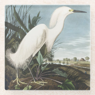 Dessous-de-verre En Verre Art vintage d'Audubon représentant un héron neigeu