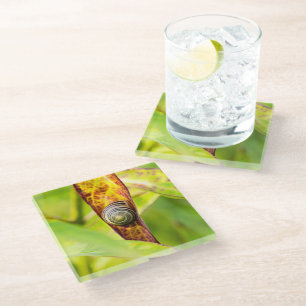 Dessous-de-verre En Verre attachement calme