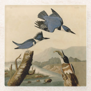 Dessous-de-verre En Verre Audubon Belted Kingfisher Wildlife Bird