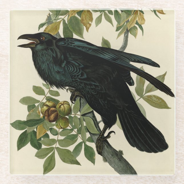 Dessous-de-verre En Verre Audubon Raven Oiseau classique (Devant)