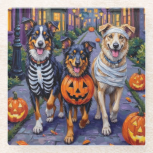 Dessous-de-verre En Verre Australian Shepherd faisant du porte-à-porte pour 