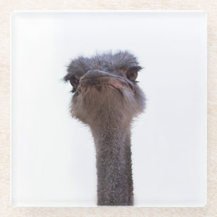 Dessous-de-verre En Verre autruche