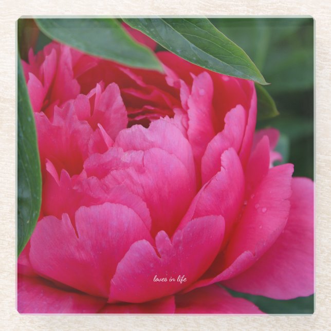 Dessous-de-verre En Verre Bashful Pink Peony (Devant)