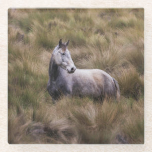 Dessous-de-verre En Verre Beau Cheval gris coloré