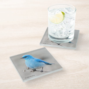 Dessous-de-verre En Verre Beau oiseau bleu de montagne sur le Tansy