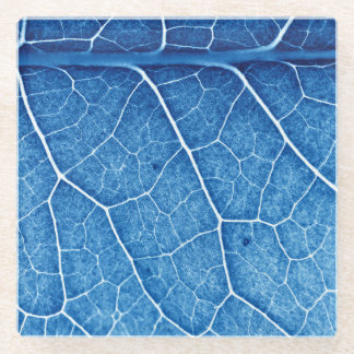 Dessous-de-verre En Verre Beau Plante Closeup Texture Arrière - plan