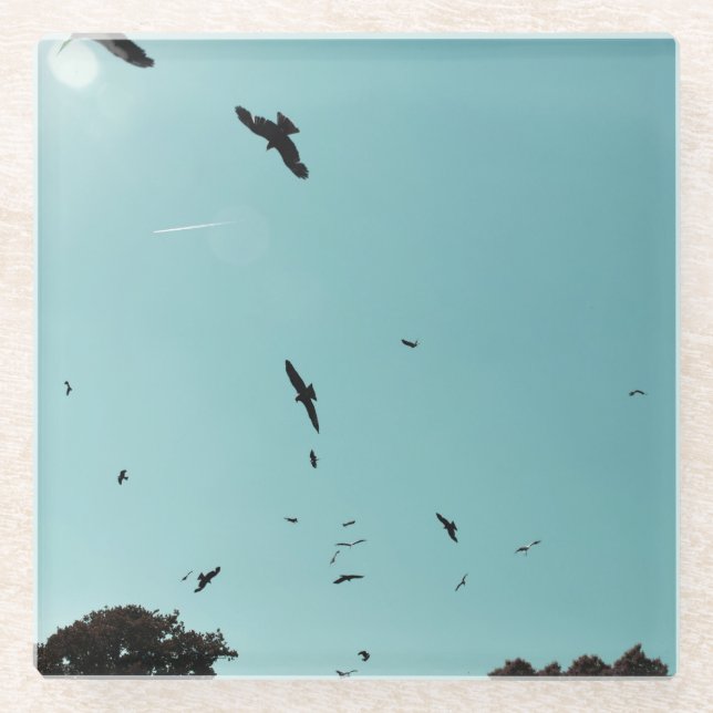 Dessous-de-verre En Verre Beaucoup d'oiseaux et un controle (Devant)