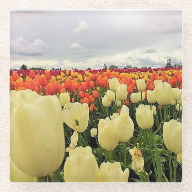 Dessous-de-verre En Verre Beautiful Tulip Field (Devant)