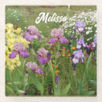Belle Iris Pourpre Irises fleur florale Jardin