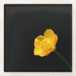 Dessous-de-verre En Verre Beurre Castère à fleurs