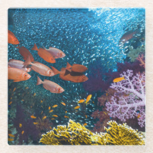 Dessous-de-verre En Verre Bigeye ou Lunette-Oeil du paysage de récif