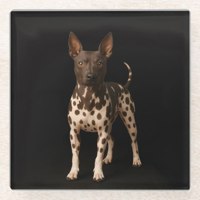 Dessous-de-verre En Verre Black 4 Luxe Glass coaster, Hairless Terrier Dog (Devant)