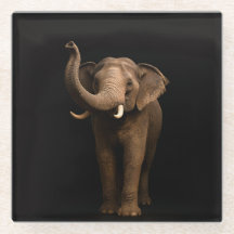 Black 4 Luxe Glass coaster, Mighty Elephant